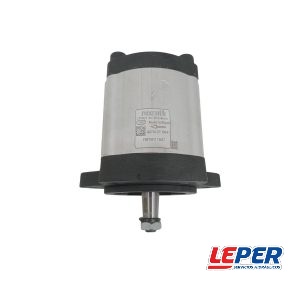 Bomba Standar 45 lts – 2 Fijaciones – 979011909-2F – Rexroth – 1066